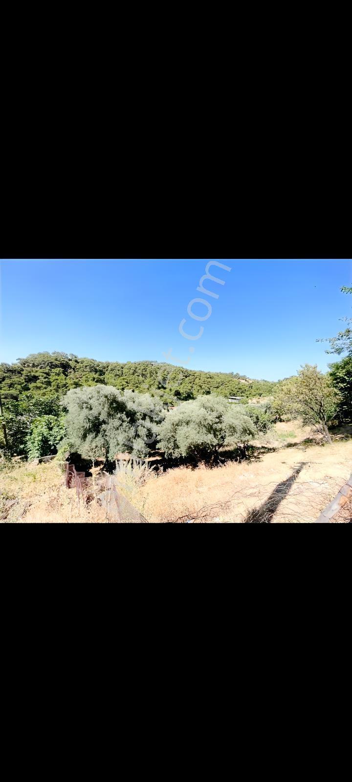 Germencik Çarıklarda İmarlı Arsa. — fotoğraf 2