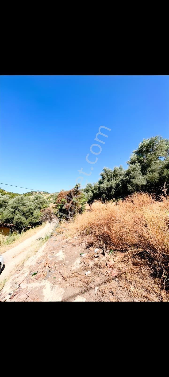 Germencik Çarıklarda İmarlı Arsa. — fotoğraf 3