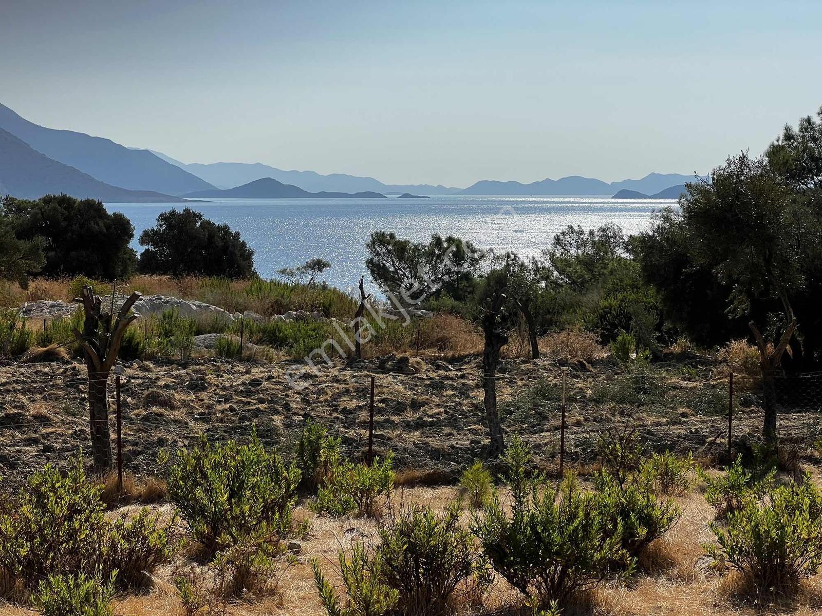 Denize Sadece 200 Metre Deniz Manzaralı 2b Parseller — fotoğraf 2