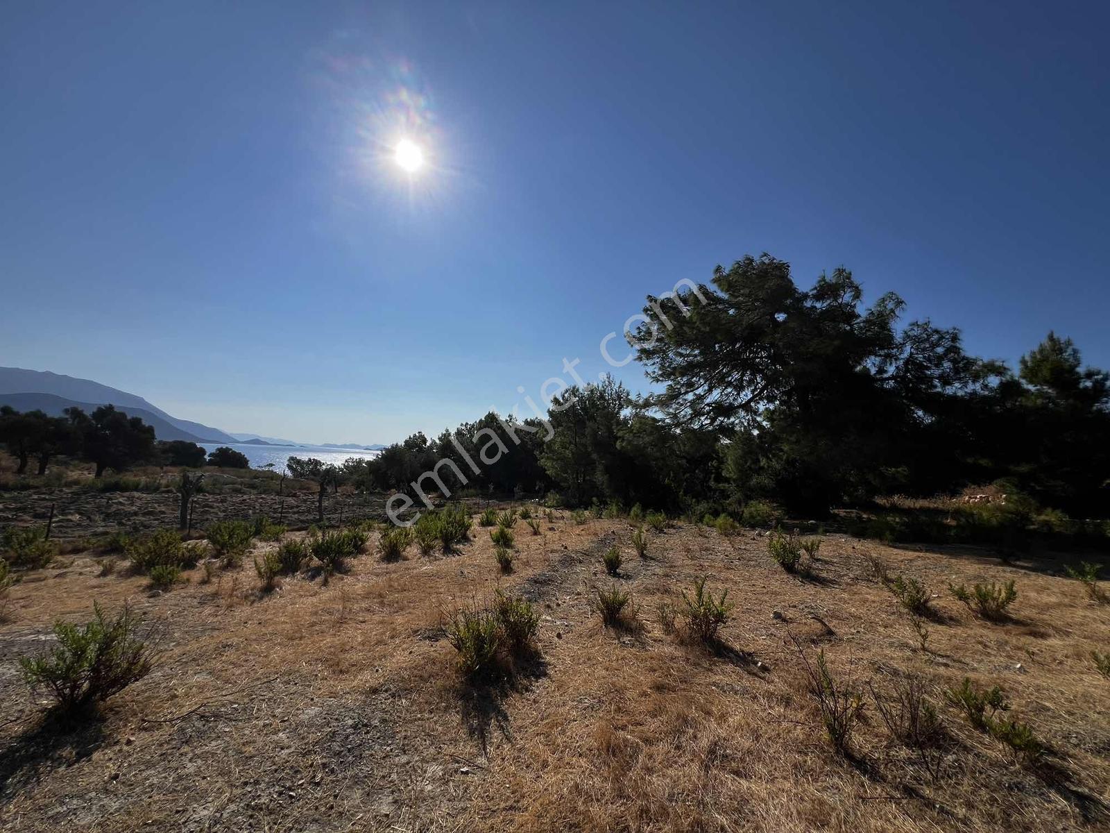 Denize Sadece 200 Metre Deniz Manzaralı 2b Parseller — fotoğraf 3