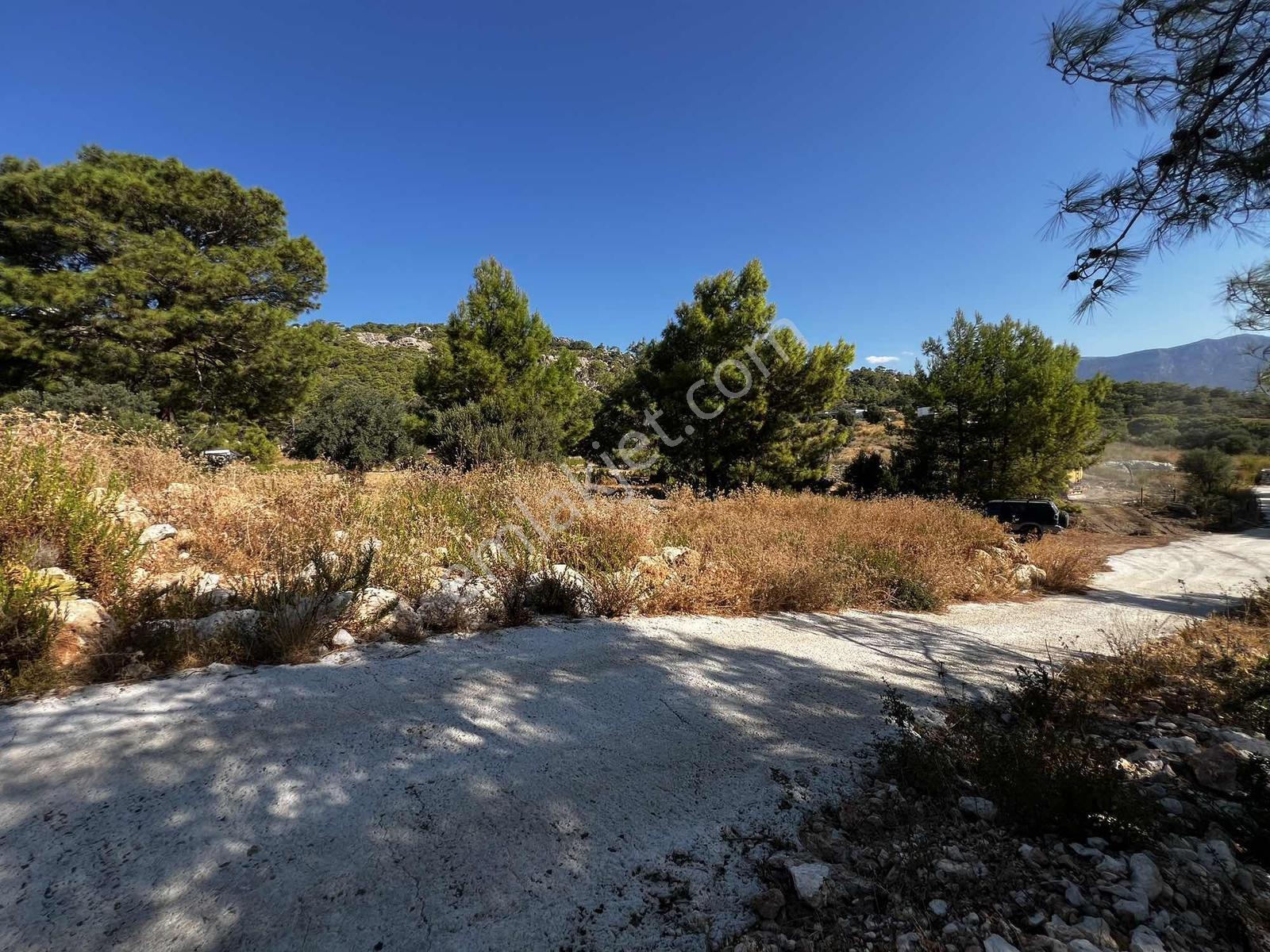 Denize Sadece 200 Metre Deniz Manzaralı 2b Parseller — fotoğraf 5