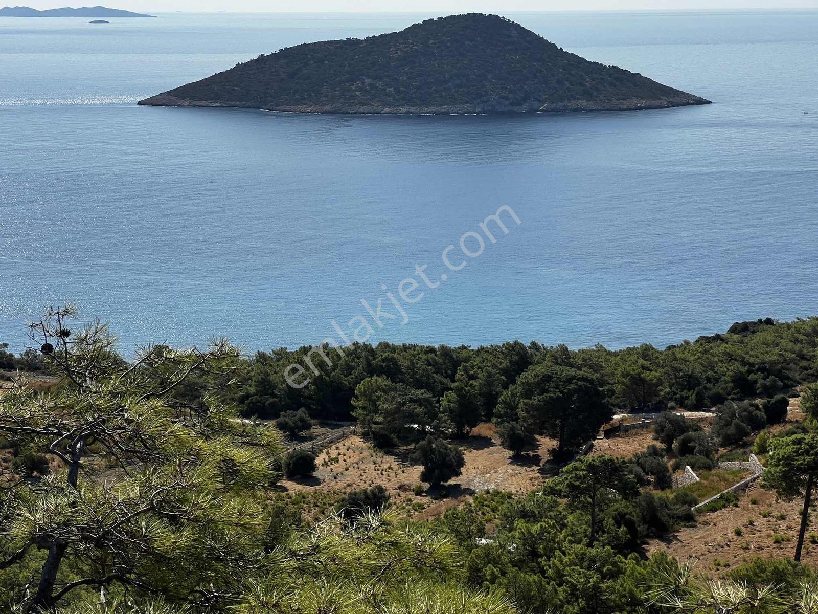 Denize Sadece 200 Metre Deniz Manzaralı 2b Parseller — fotoğraf 6