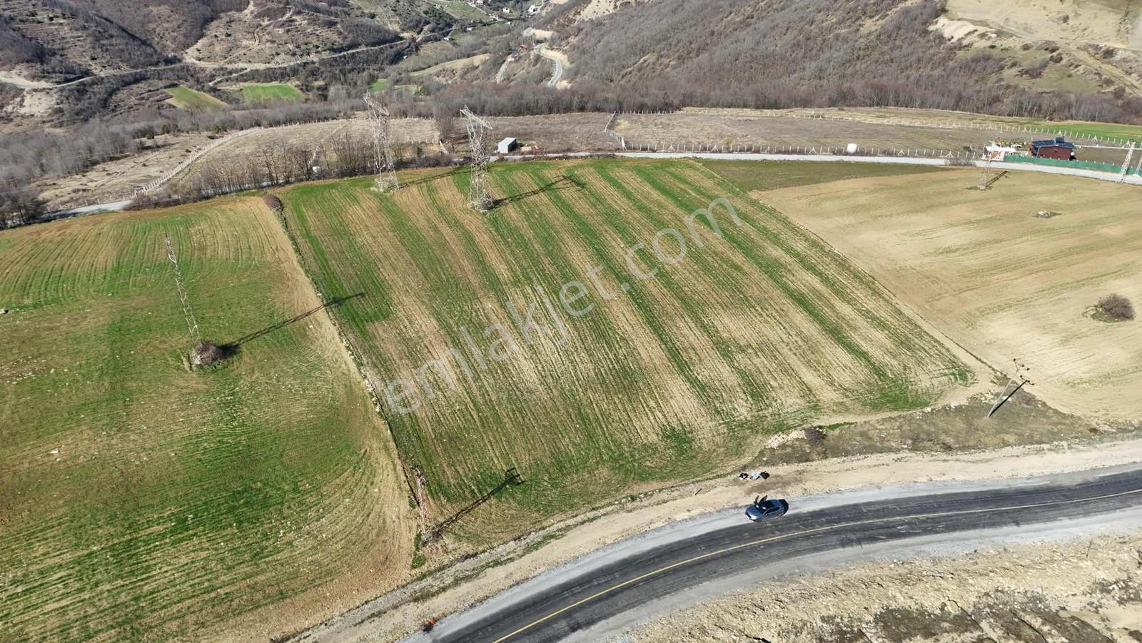 Hisar Dan Ata Yoluna Cephe Deniz Manzaralı Tarla 14,054 M2 — fotoğraf 5