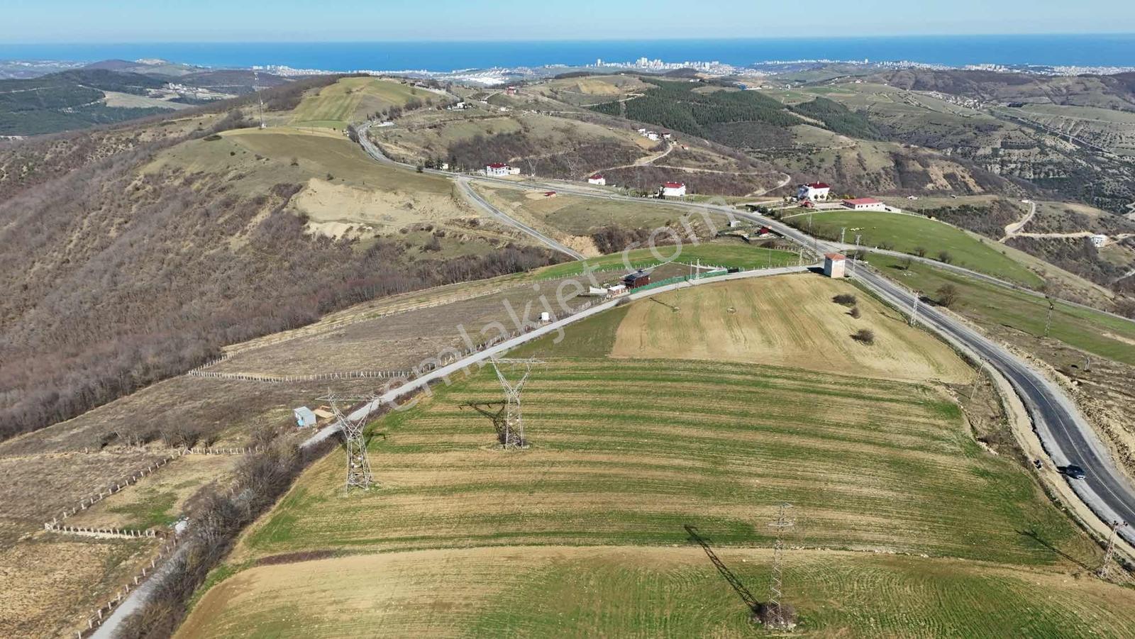 Hisar Dan Ata Yoluna Cephe Deniz Manzaralı Tarla 14,054 M2 — fotoğraf 17