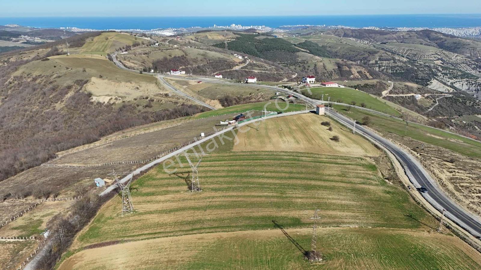 Hisar Dan Ata Yoluna Cephe Deniz Manzaralı Tarla 14,054 M2 — fotoğraf 19