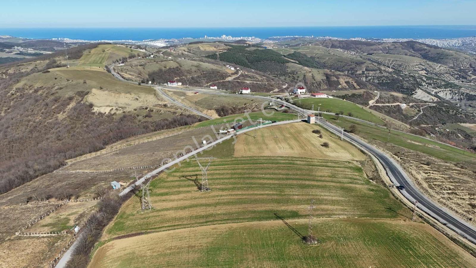 Hisar Dan Ata Yoluna Cephe Deniz Manzaralı Tarla 14,054 M2 — fotoğraf 21