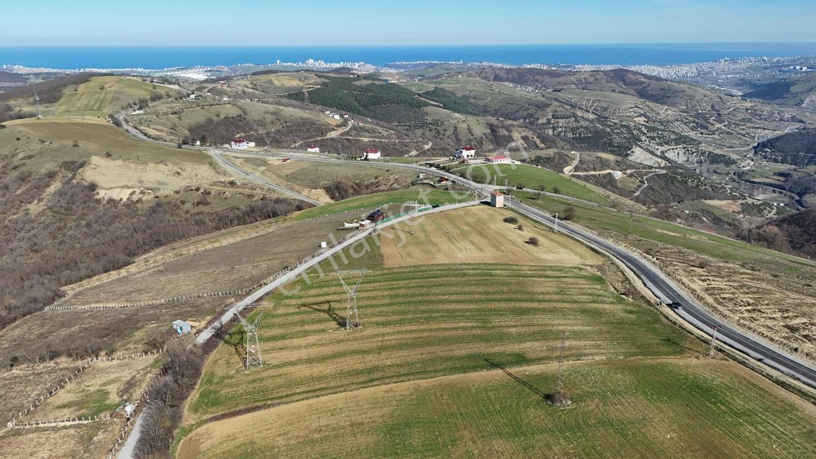 Hisar Dan Ata Yoluna Cephe Deniz Manzaralı Tarla 14,054 M2 — fotoğraf 25