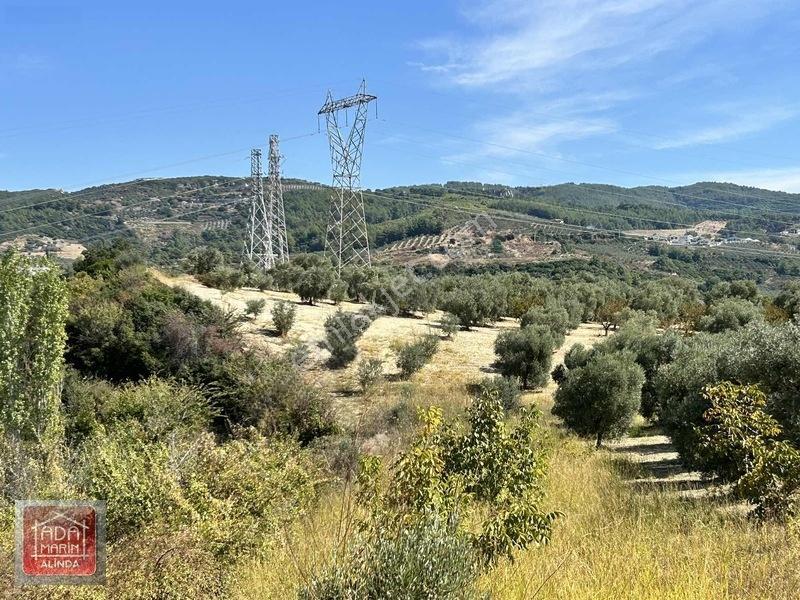 Kuşadasında Anayola 100 Mt 32 Dönüm Panoramik Manzaralı Arazi — fotoğraf 7