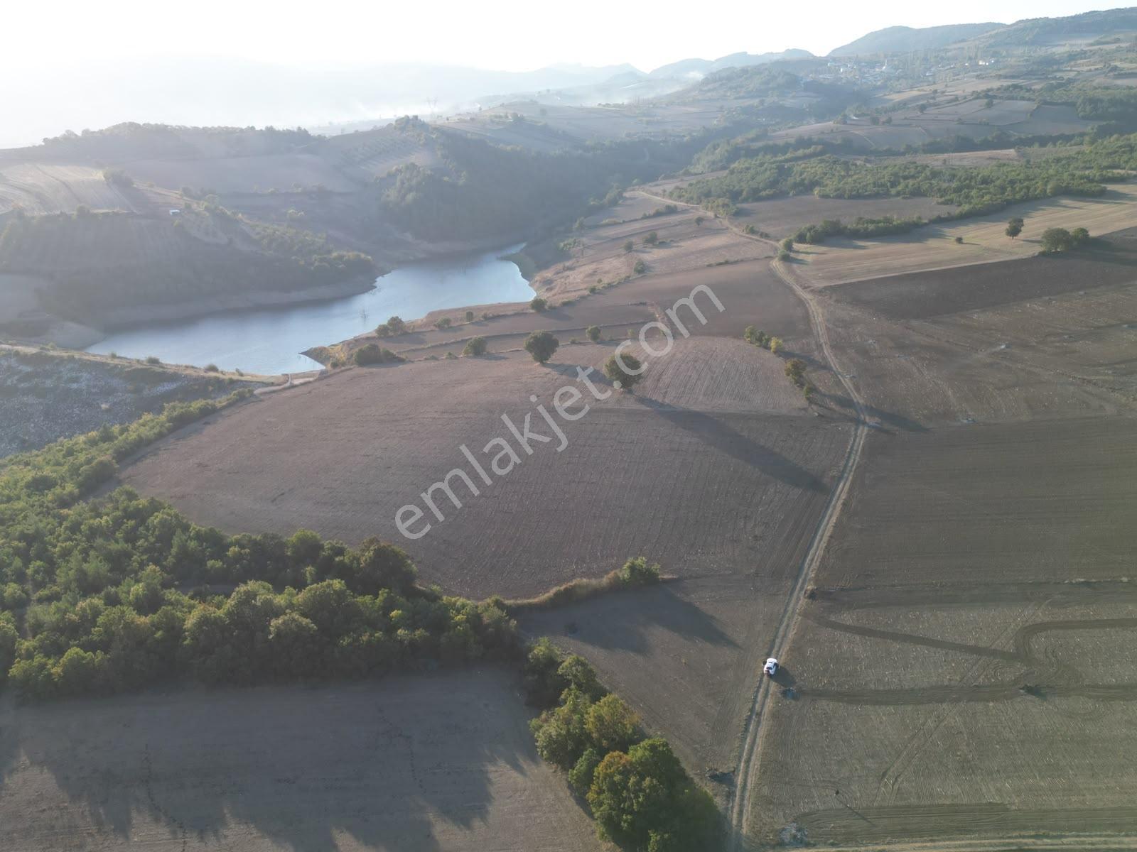 Müftüoğlu'ndan Eğerce Mah. Satılık Tarla — fotoğraf 10