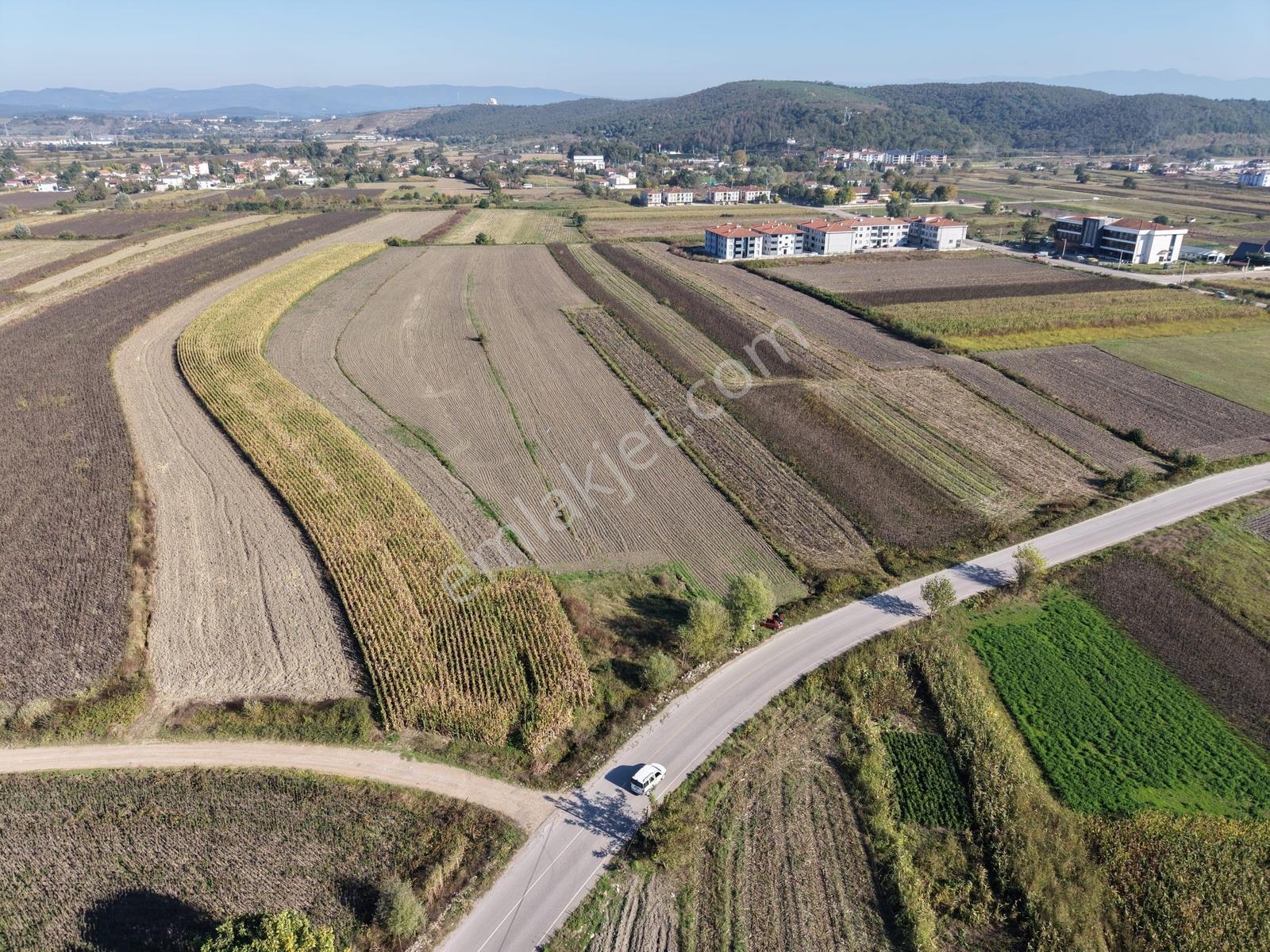 Söğütlü Merkezde Asfalta Cephe 520M2 Kaçırılmayacak Fırsat