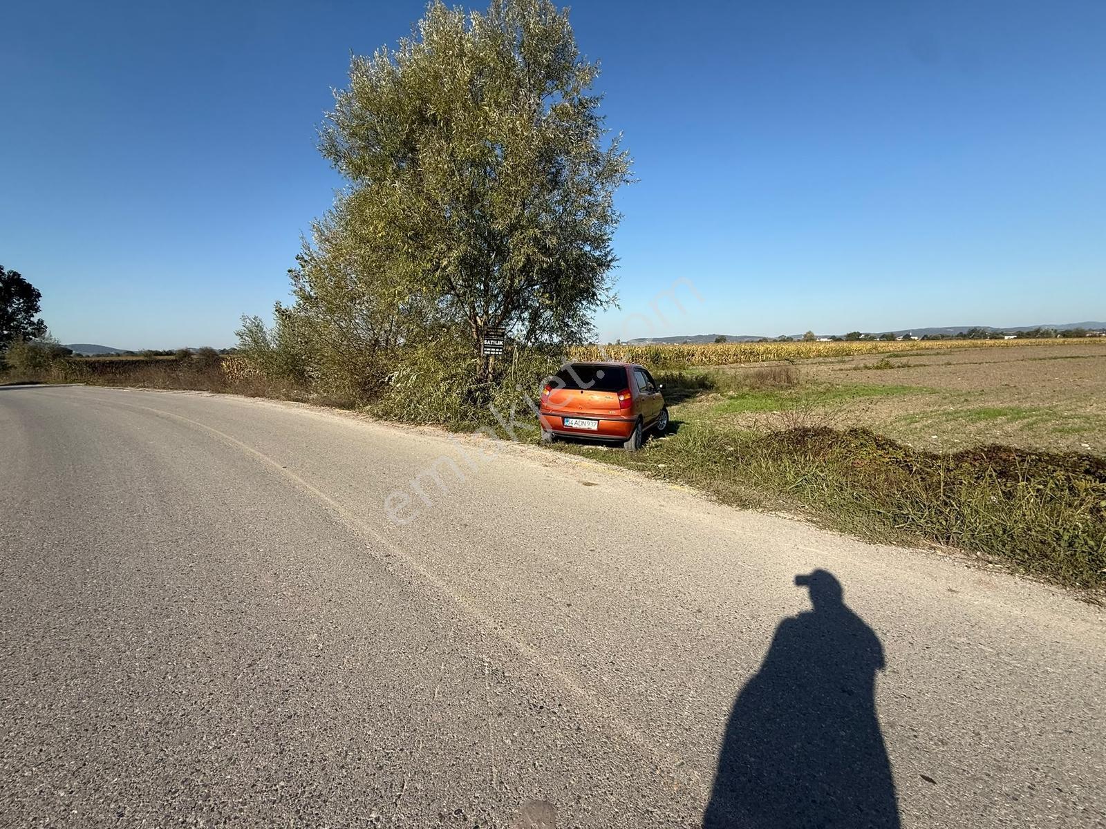 Söğütlü Merkezde Asfalta Cephe 520m2 Kaçırılmayacak Fırsat — fotoğraf 2