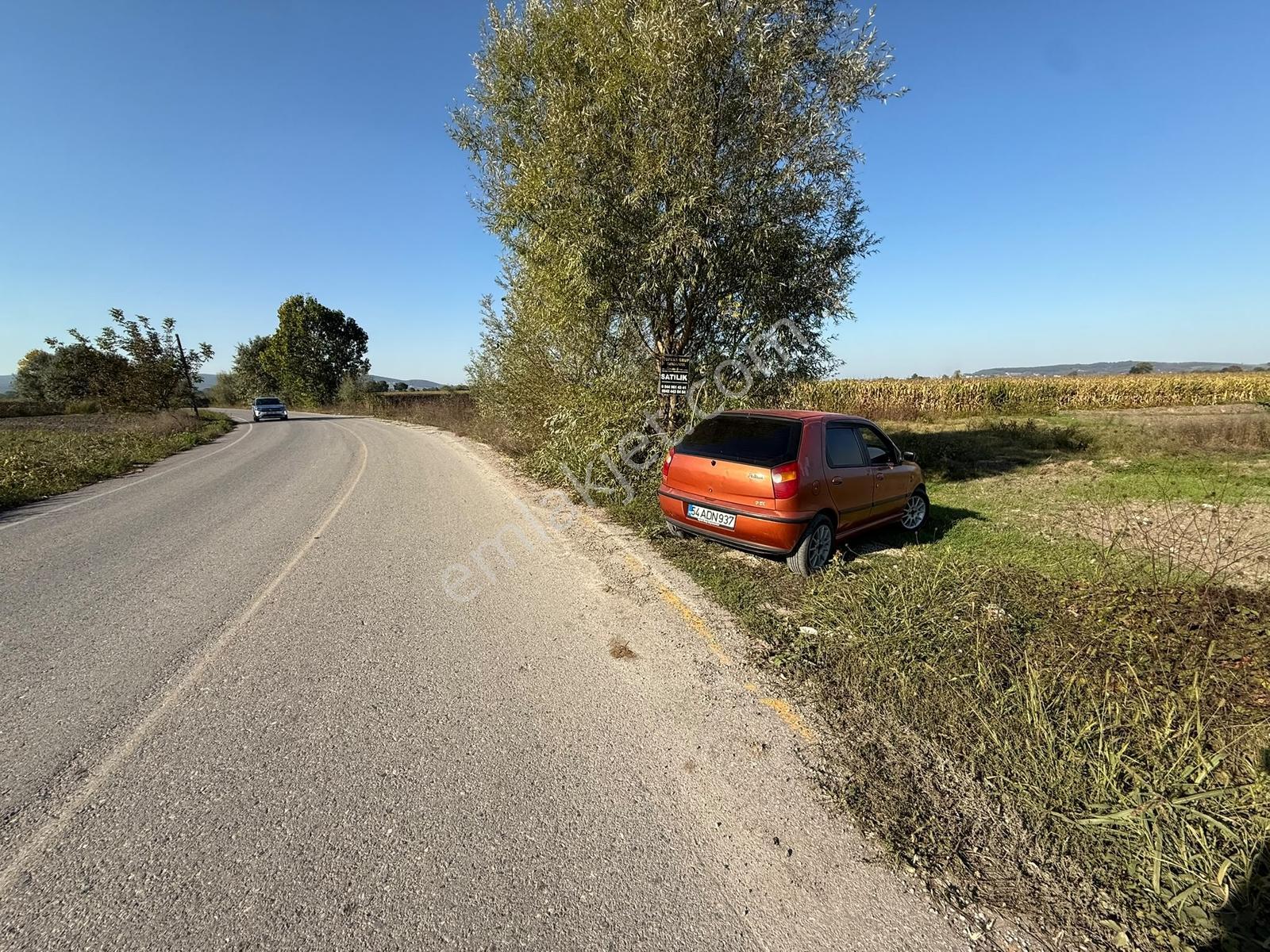 Söğütlü Merkezde Asfalta Cephe 520m2 Kaçırılmayacak Fırsat — fotoğraf 3