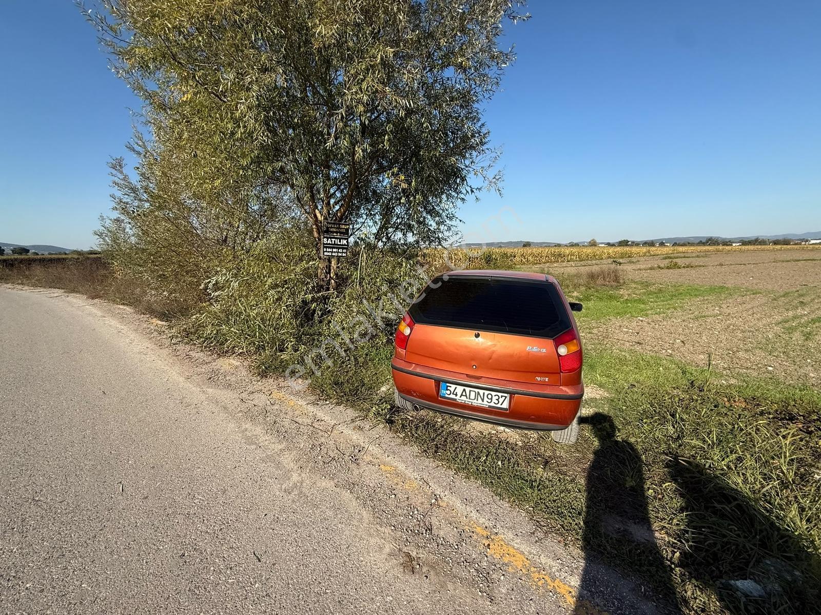 Söğütlü Merkezde Asfalta Cephe 520m2 Kaçırılmayacak Fırsat — fotoğraf 4