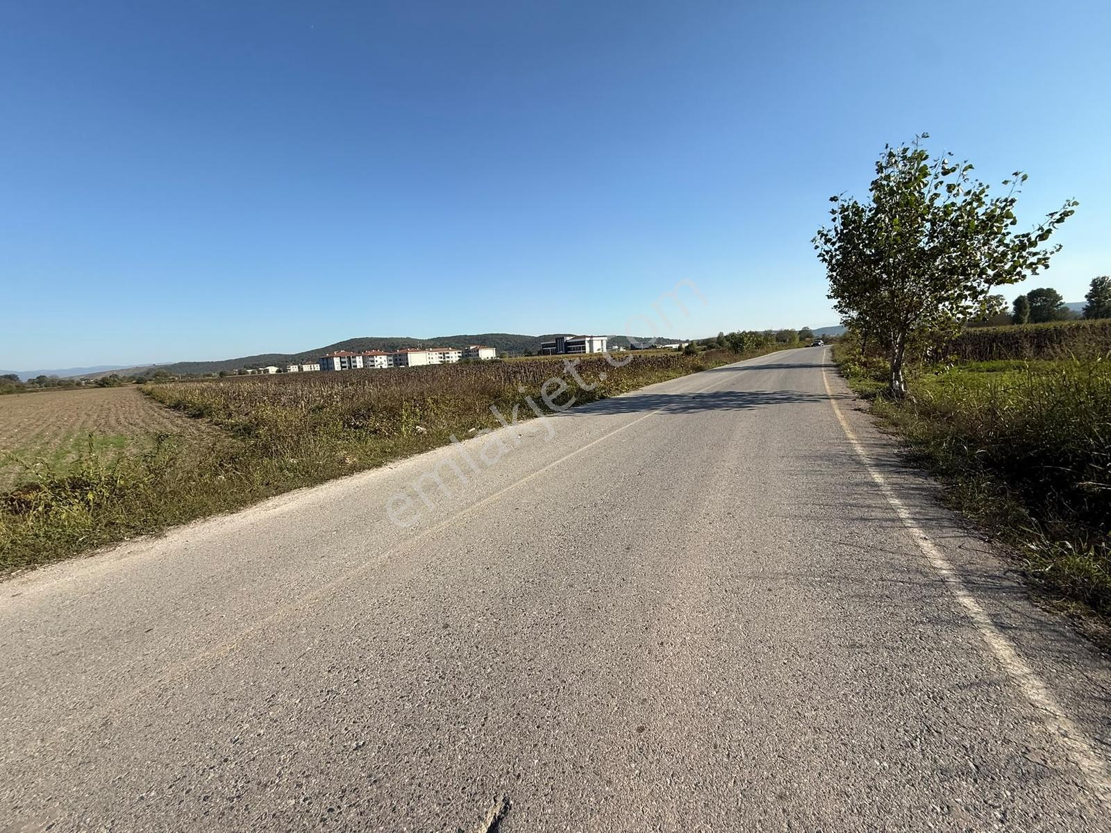 Söğütlü Merkezde Asfalta Cephe 520m2 Kaçırılmayacak Fırsat — fotoğraf 5