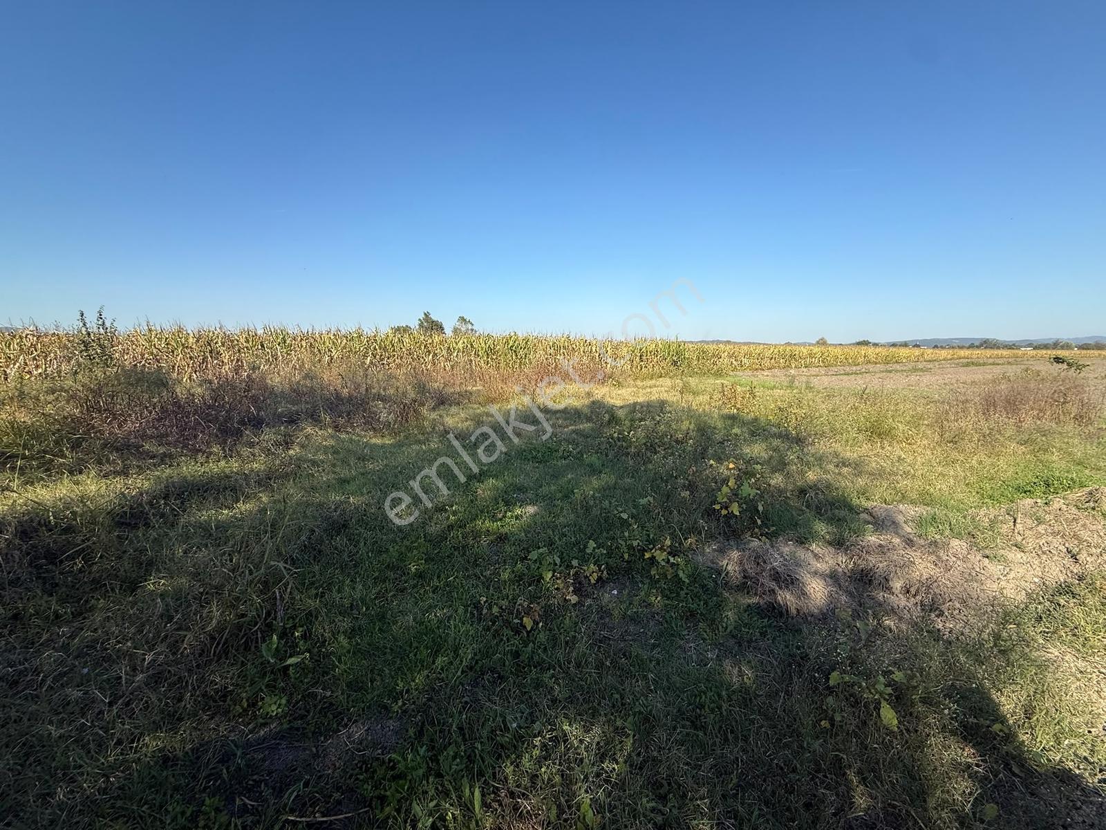 Söğütlü Merkezde Asfalta Cephe 520m2 Kaçırılmayacak Fırsat — fotoğraf 6