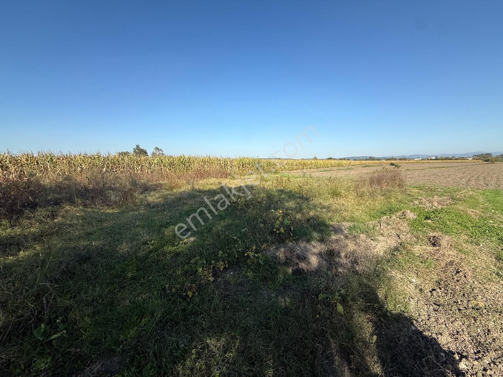 Söğütlü Merkezde Asfalta Cephe 520m2 Kaçırılmayacak Fırsat — fotoğraf 7