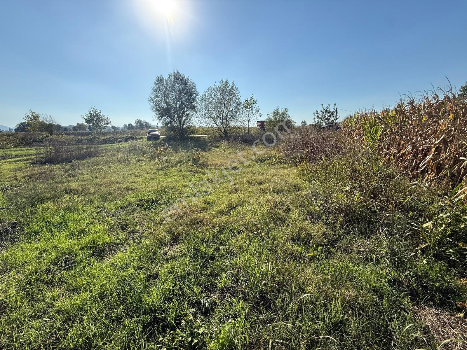 Söğütlü Merkezde Asfalta Cephe 520m2 Kaçırılmayacak Fırsat — fotoğraf 8
