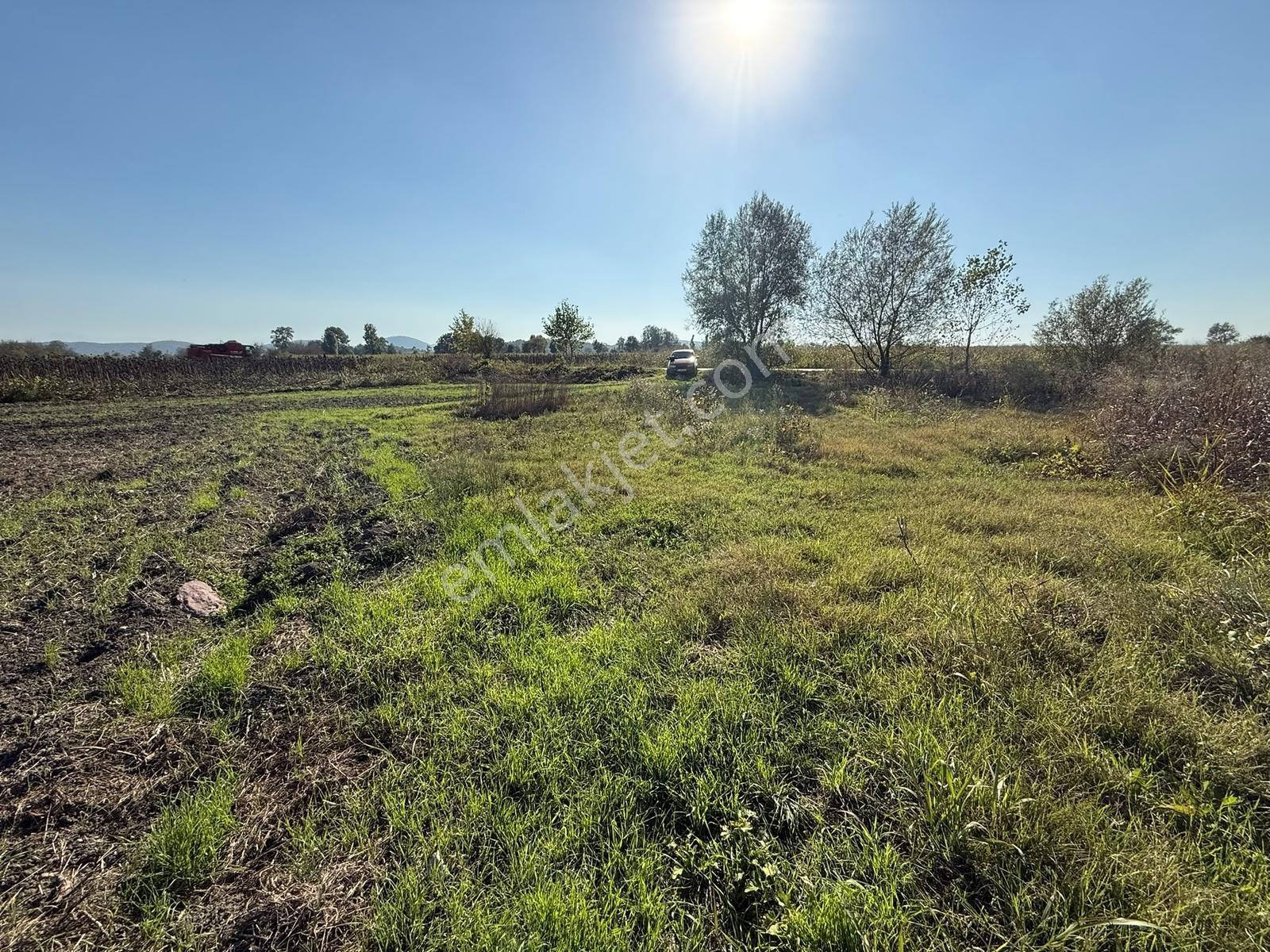 Söğütlü Merkezde Asfalta Cephe 520m2 Kaçırılmayacak Fırsat — fotoğraf 9