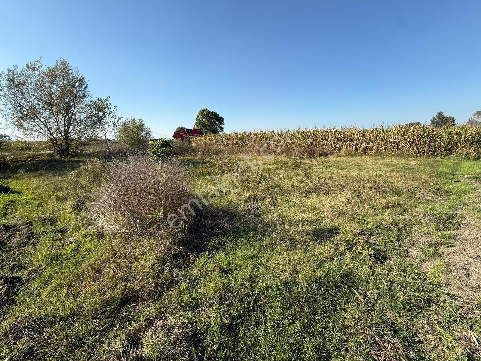 Söğütlü Merkezde Asfalta Cephe 520m2 Kaçırılmayacak Fırsat — fotoğraf 10