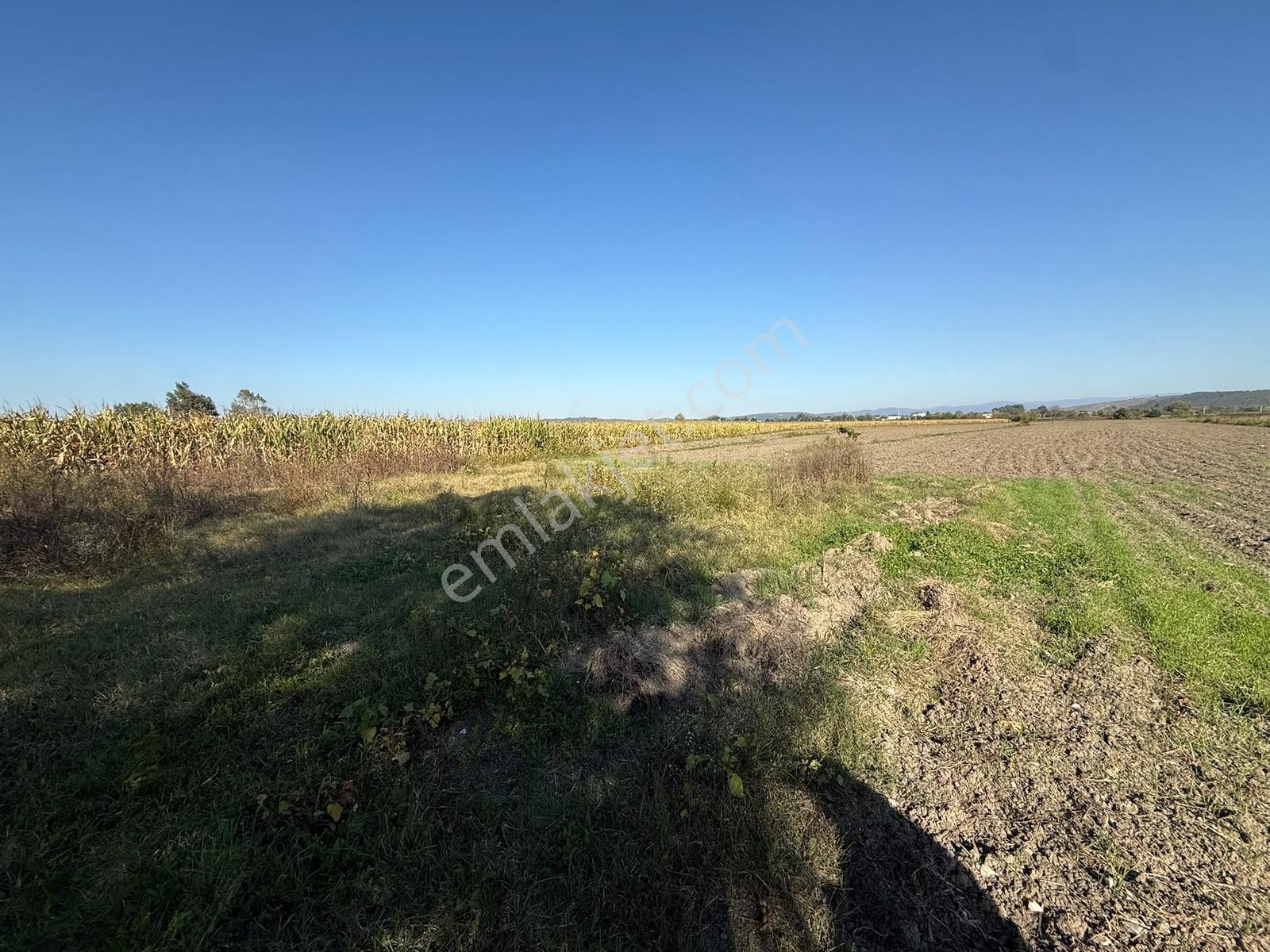 Söğütlü Merkezde Asfalta Cephe 520m2 Kaçırılmayacak Fırsat — fotoğraf 11