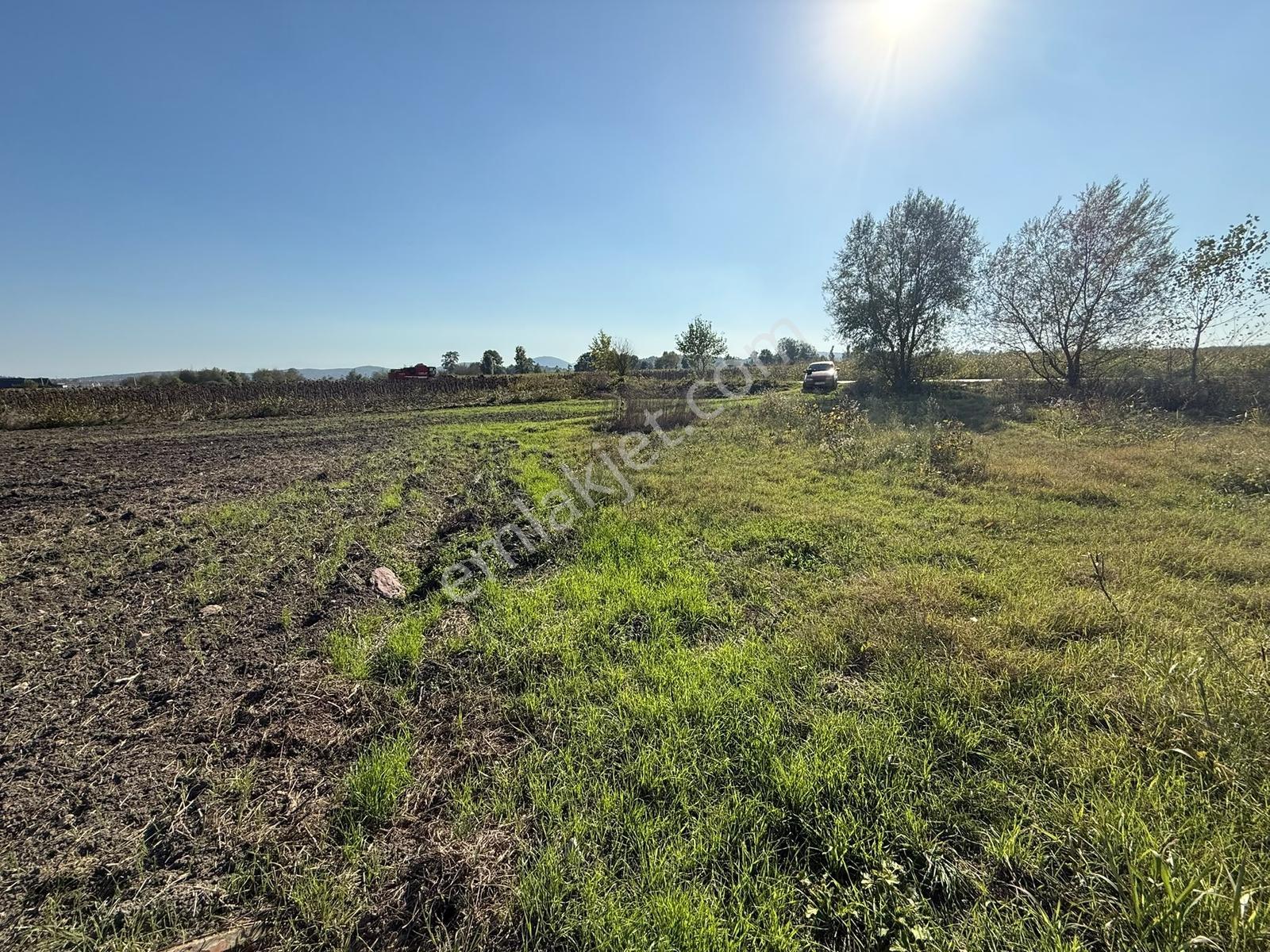 Söğütlü Merkezde Asfalta Cephe 520m2 Kaçırılmayacak Fırsat — fotoğraf 12