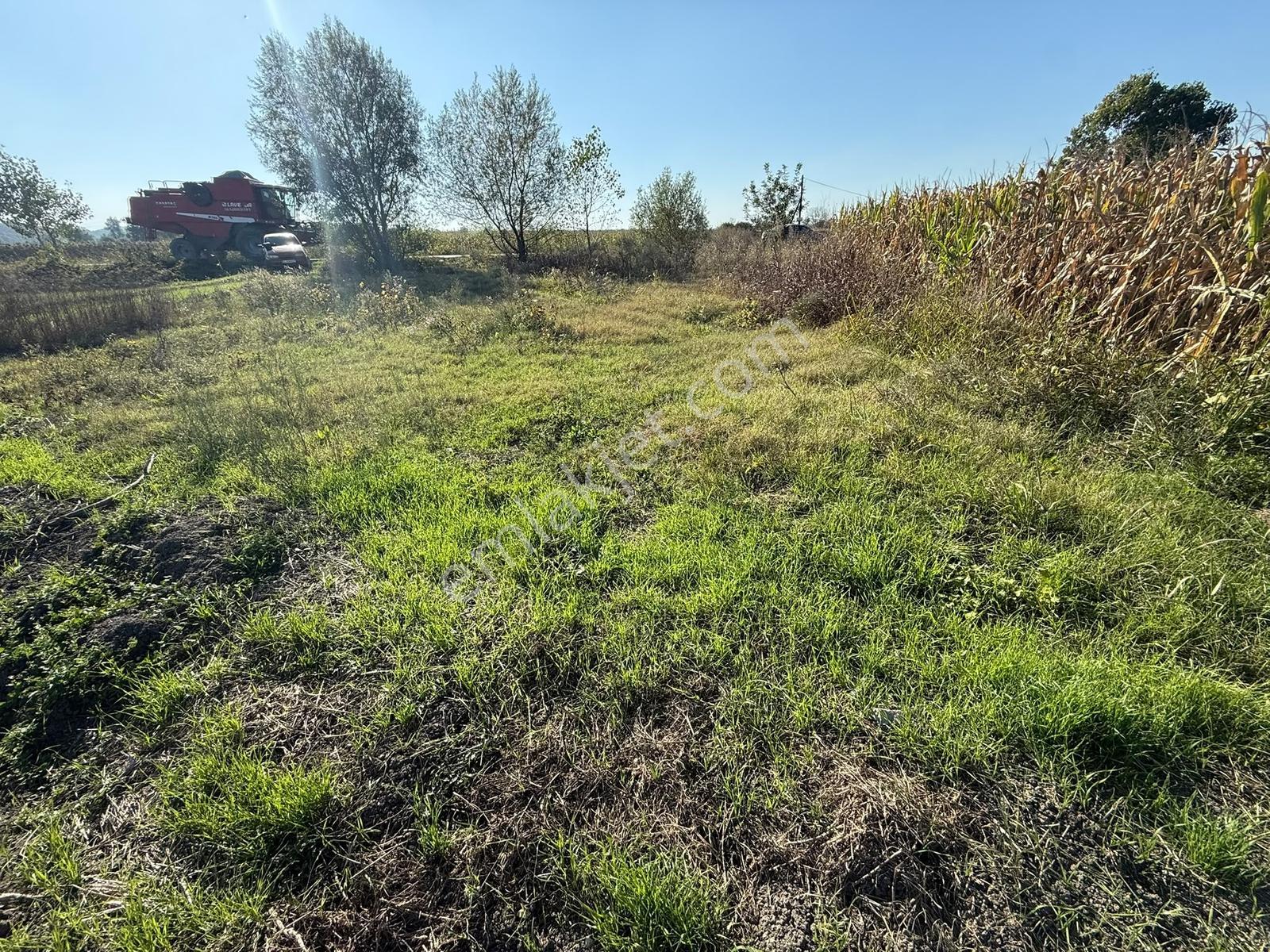 Söğütlü Merkezde Asfalta Cephe 520m2 Kaçırılmayacak Fırsat — fotoğraf 13