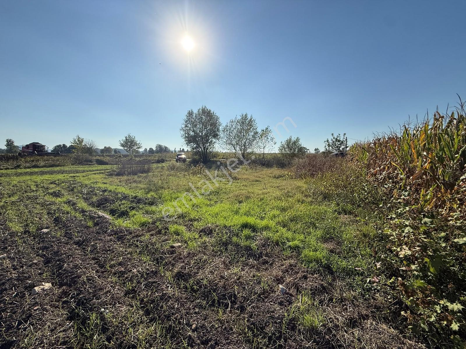 Söğütlü Merkezde Asfalta Cephe 520m2 Kaçırılmayacak Fırsat — fotoğraf 14