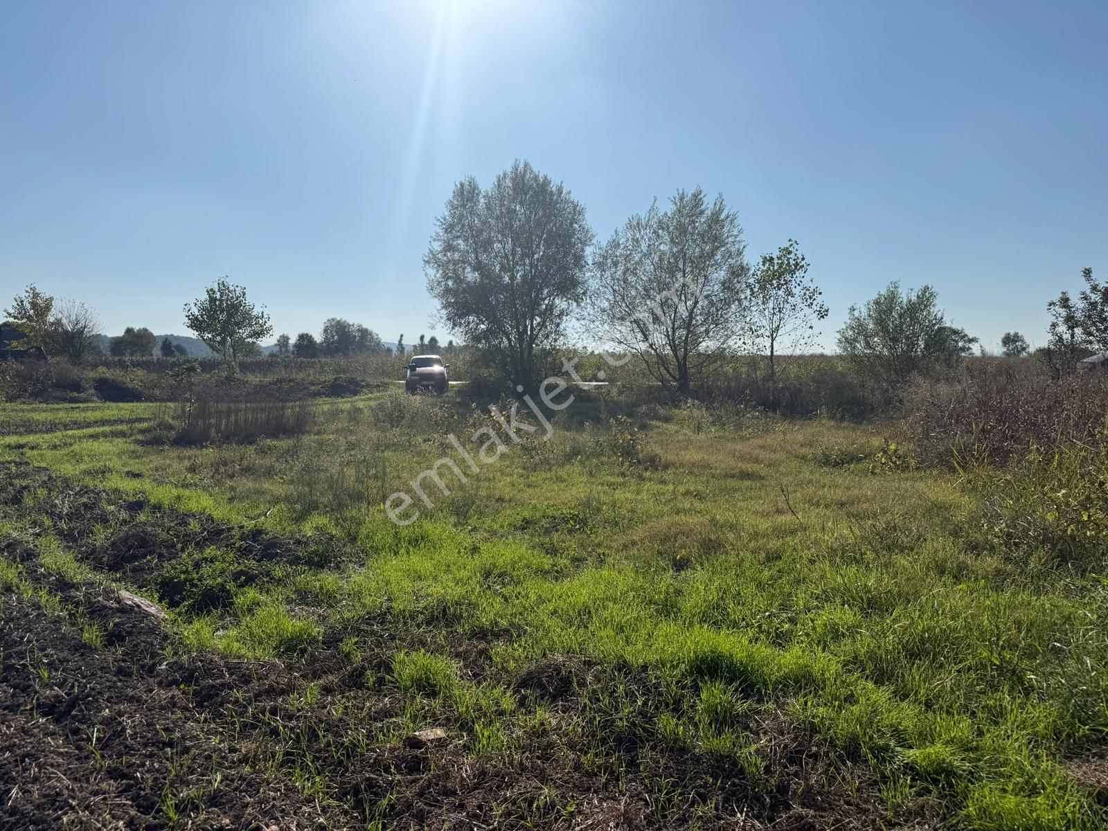 Söğütlü Merkezde Asfalta Cephe 520m2 Kaçırılmayacak Fırsat — fotoğraf 16