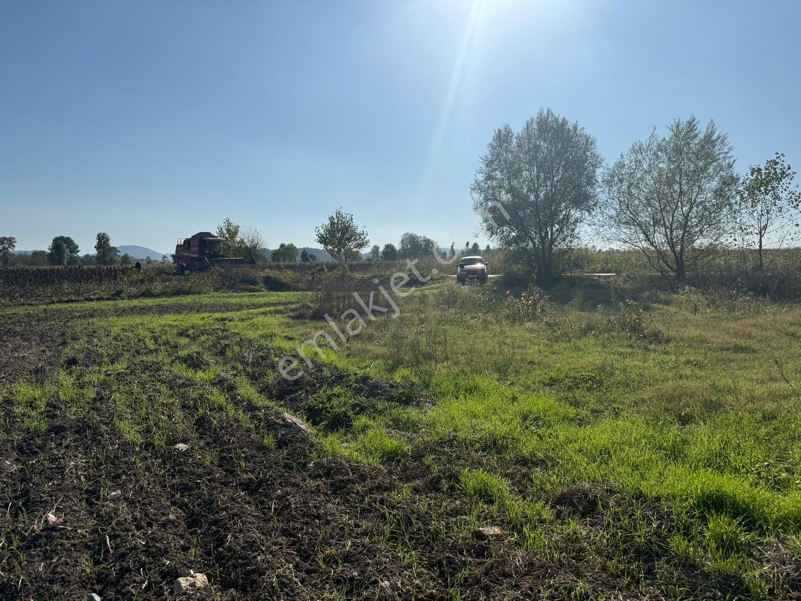 Söğütlü Merkezde Asfalta Cephe 520m2 Kaçırılmayacak Fırsat — fotoğraf 17