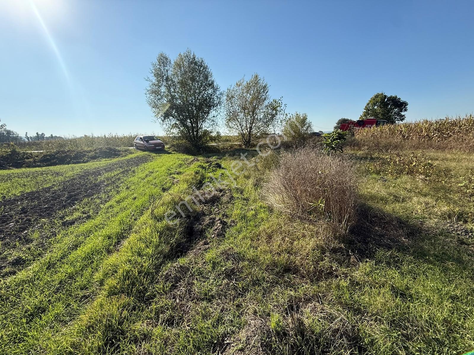 Söğütlü Merkezde Asfalta Cephe 520m2 Kaçırılmayacak Fırsat — fotoğraf 18