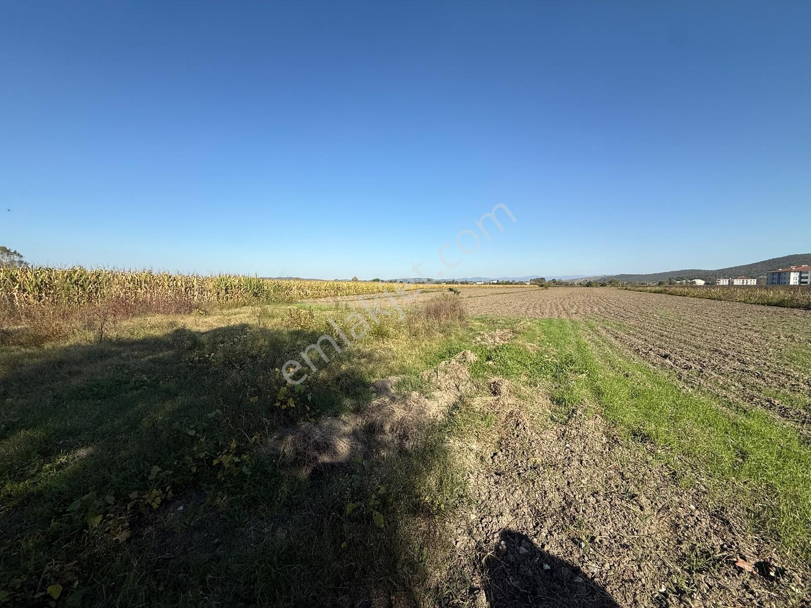 Söğütlü Merkezde Asfalta Cephe 520m2 Kaçırılmayacak Fırsat — fotoğraf 19
