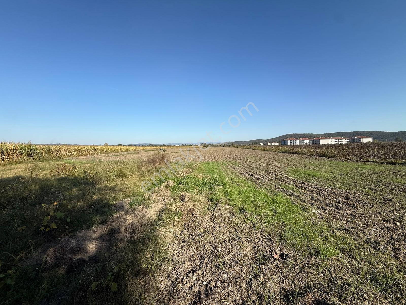 Söğütlü Merkezde Asfalta Cephe 520m2 Kaçırılmayacak Fırsat — fotoğraf 20