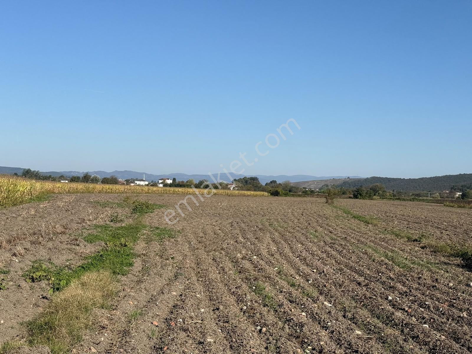Söğütlü Merkezde Asfalta Cephe 520m2 Kaçırılmayacak Fırsat — fotoğraf 21