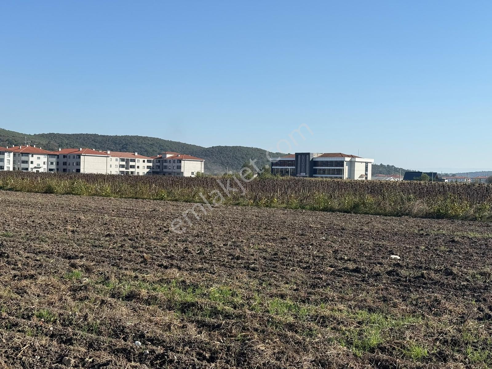 Söğütlü Merkezde Asfalta Cephe 520m2 Kaçırılmayacak Fırsat — fotoğraf 22