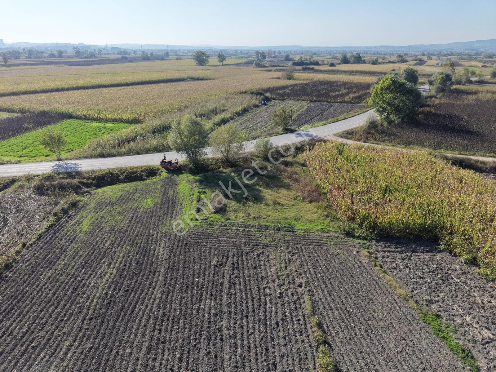 Söğütlü Merkezde Asfalta Cephe 520m2 Kaçırılmayacak Fırsat — fotoğraf 24