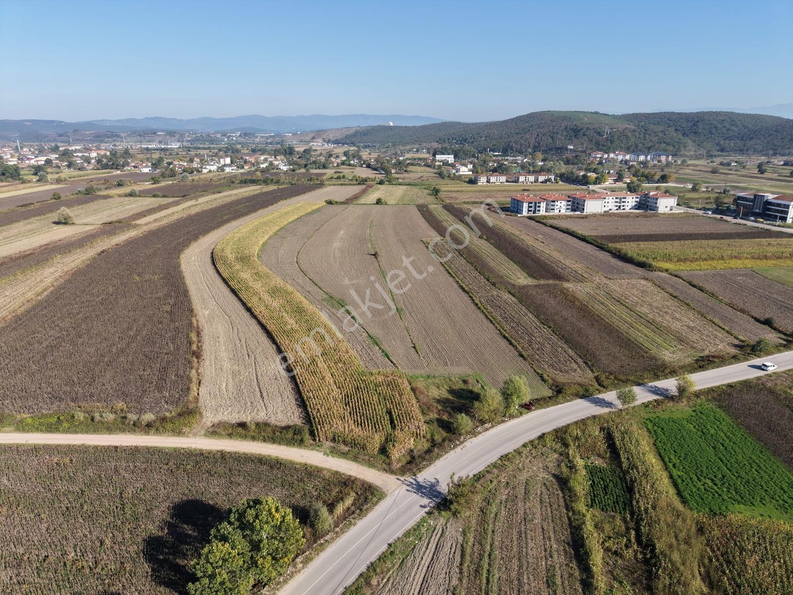 Söğütlü Merkezde Asfalta Cephe 520m2 Kaçırılmayacak Fırsat — fotoğraf 29