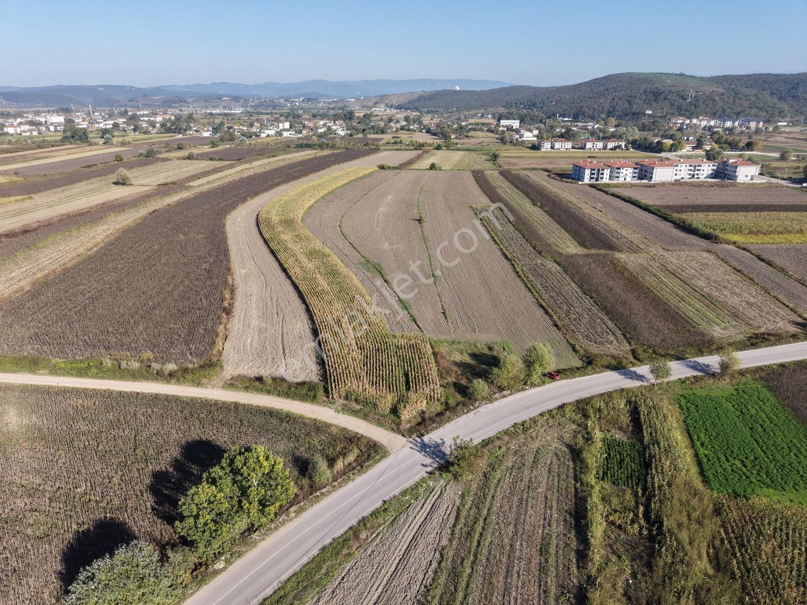 Söğütlü Merkezde Asfalta Cephe 520m2 Kaçırılmayacak Fırsat — fotoğraf 31