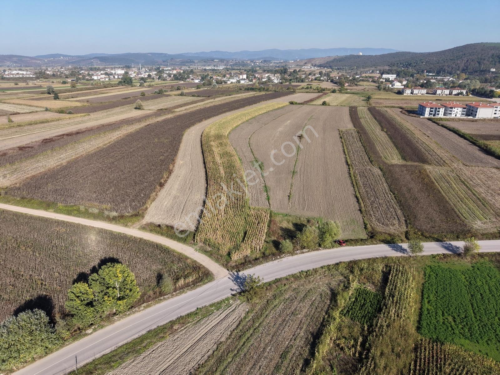 Söğütlü Merkezde Asfalta Cephe 520m2 Kaçırılmayacak Fırsat — fotoğraf 32