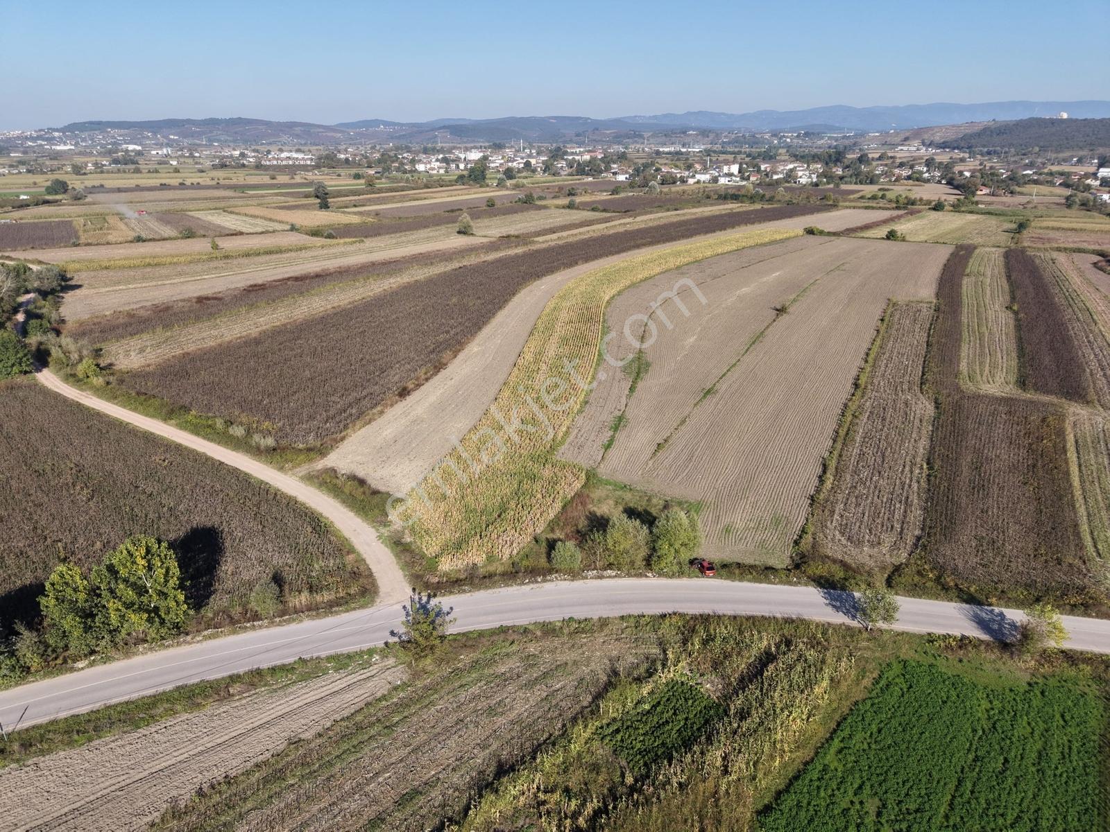 Söğütlü Merkezde Asfalta Cephe 520m2 Kaçırılmayacak Fırsat — fotoğraf 33