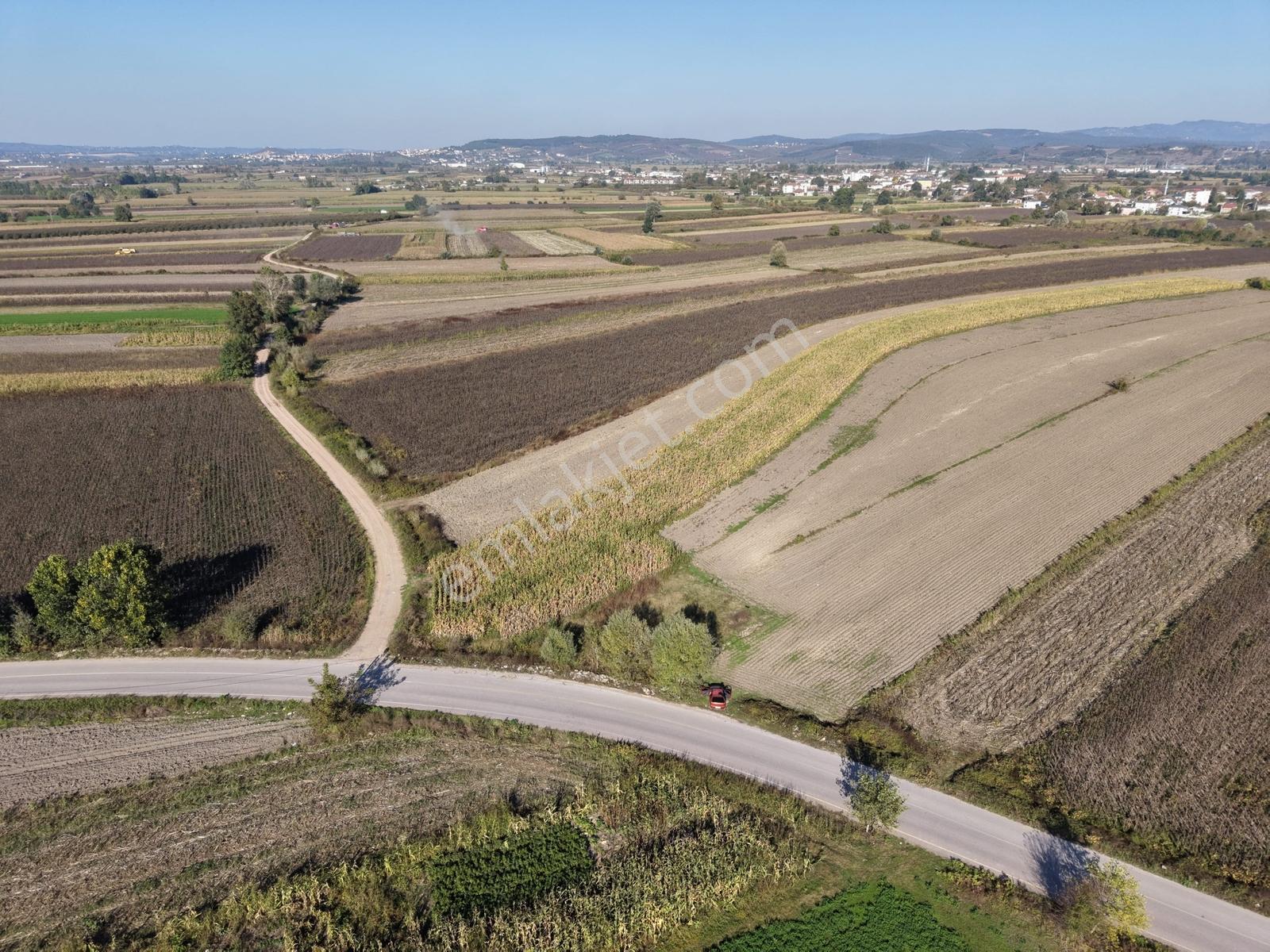 Söğütlü Merkezde Asfalta Cephe 520m2 Kaçırılmayacak Fırsat — fotoğraf 34