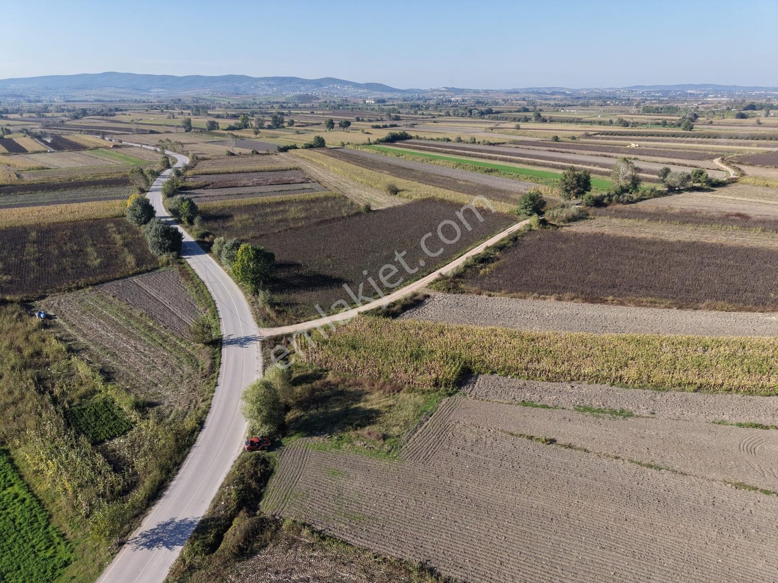 Söğütlü Merkezde Asfalta Cephe 520m2 Kaçırılmayacak Fırsat — fotoğraf 35