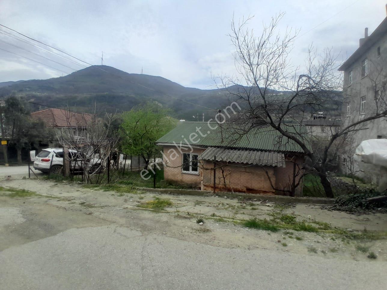 Geyve Bağlarbaşı 300 M2 Satılık Köyiçi Arsa — fotoğraf 3