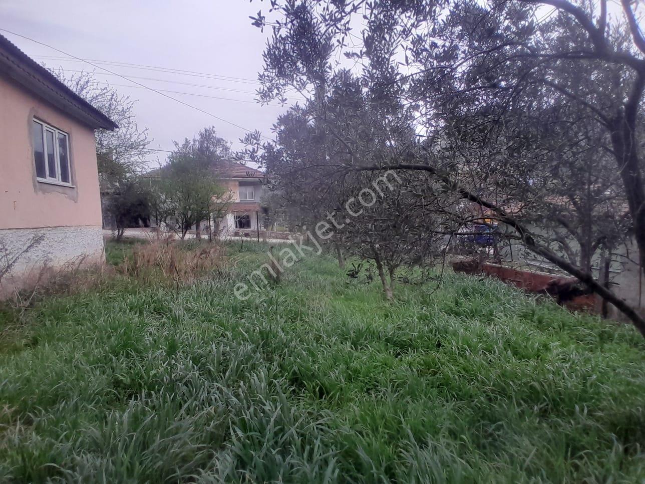 Geyve Bağlarbaşı 300 M2 Satılık Köyiçi Arsa — fotoğraf 11