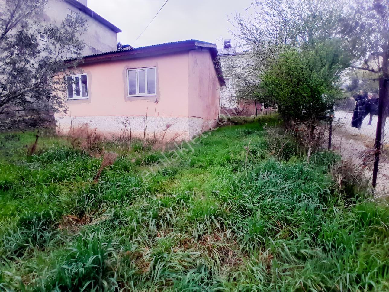 Geyve Bağlarbaşı 300 M2 Satılık Köyiçi Arsa — fotoğraf 12