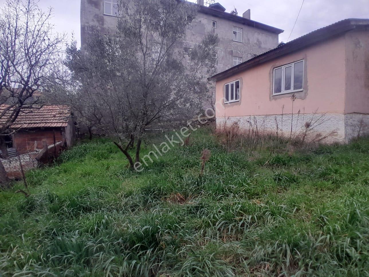 Geyve Bağlarbaşı 300 M2 Satılık Köyiçi Arsa — fotoğraf 13