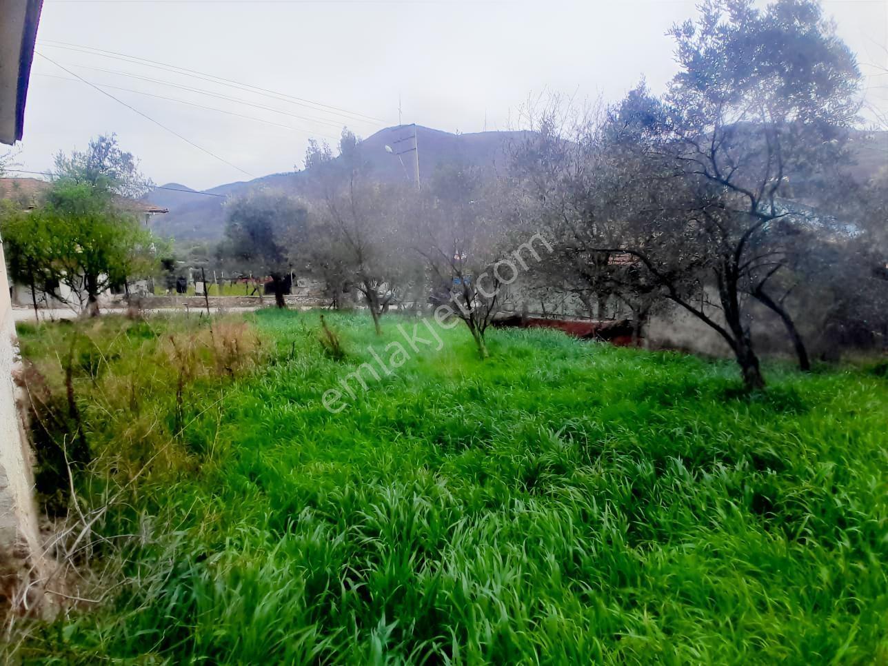 Geyve Bağlarbaşı 300 M2 Satılık Köyiçi Arsa — fotoğraf 16