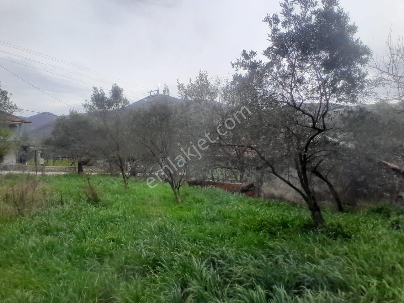 Geyve Bağlarbaşı 300 M2 Satılık Köyiçi Arsa — fotoğraf 20