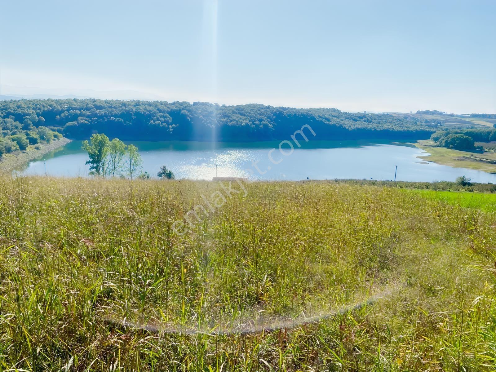 Söğütlü Beşdeğirmende Baraj Manzaralı Satılık 11.659 M2 Tarla — fotoğraf 2