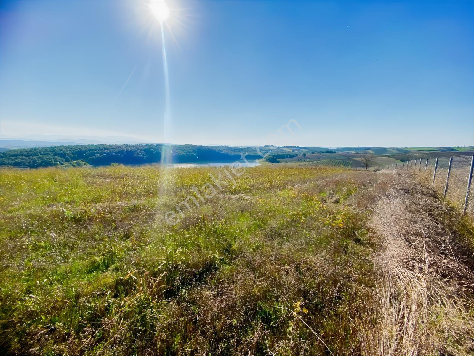 Söğütlü Beşdeğirmende Baraj Manzaralı Satılık 11.659 M2 Tarla — fotoğraf 3