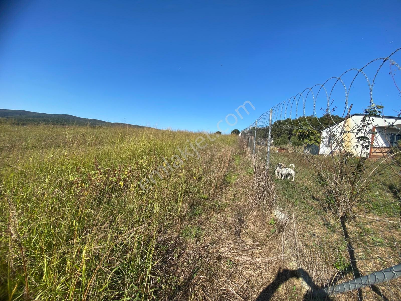 Söğütlü Beşdeğirmende Baraj Manzaralı Satılık 11.659 M2 Tarla — fotoğraf 7